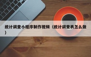 邵阳统计调查小程序制作视频（统计调查表怎么做）